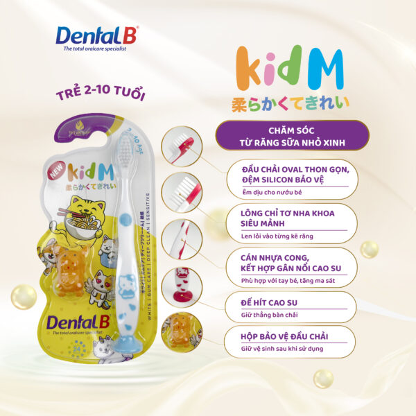 Bàn chải đánh răng trẻ em Dental B - Kid M